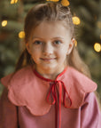 Detachable collar